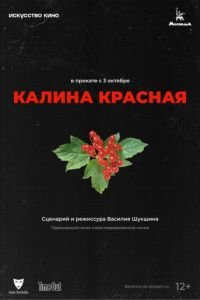 Калина красная